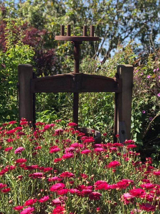 Robin Hoods Well Farm Stay Sassafras ภายนอก รูปภาพ