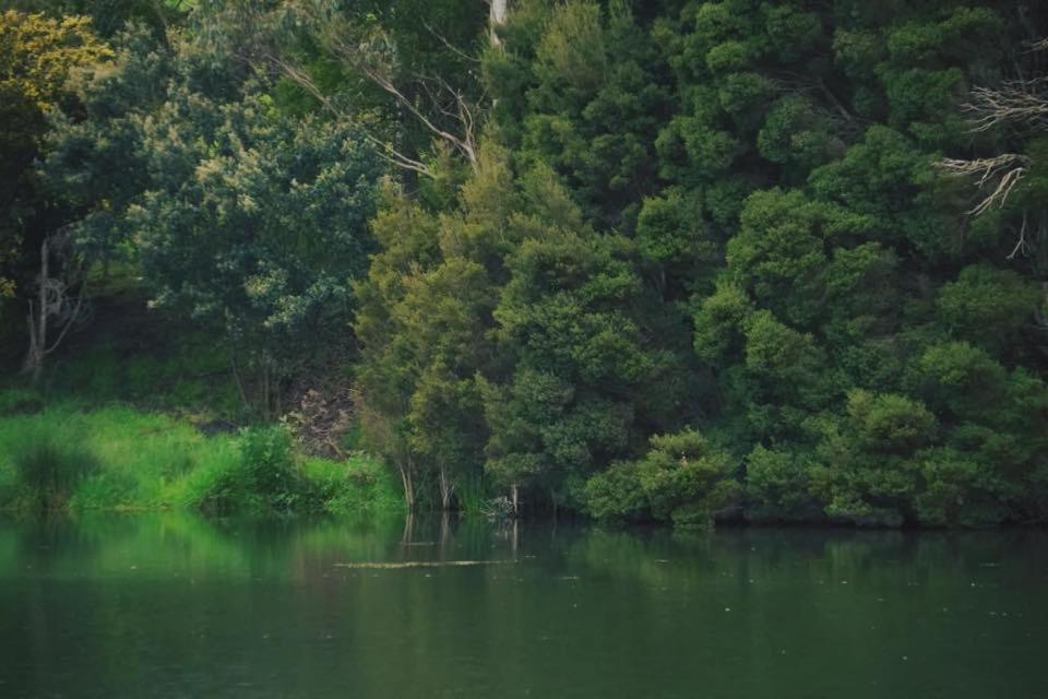 Robin Hoods Well Farm Stay Sassafras ภายนอก รูปภาพ