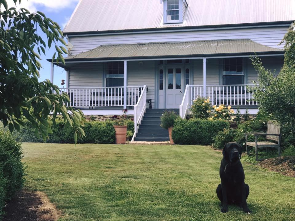 Robin Hoods Well Farm Stay Sassafras ภายนอก รูปภาพ