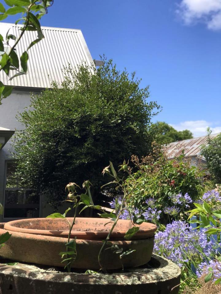 Robin Hoods Well Farm Stay Sassafras ภายนอก รูปภาพ