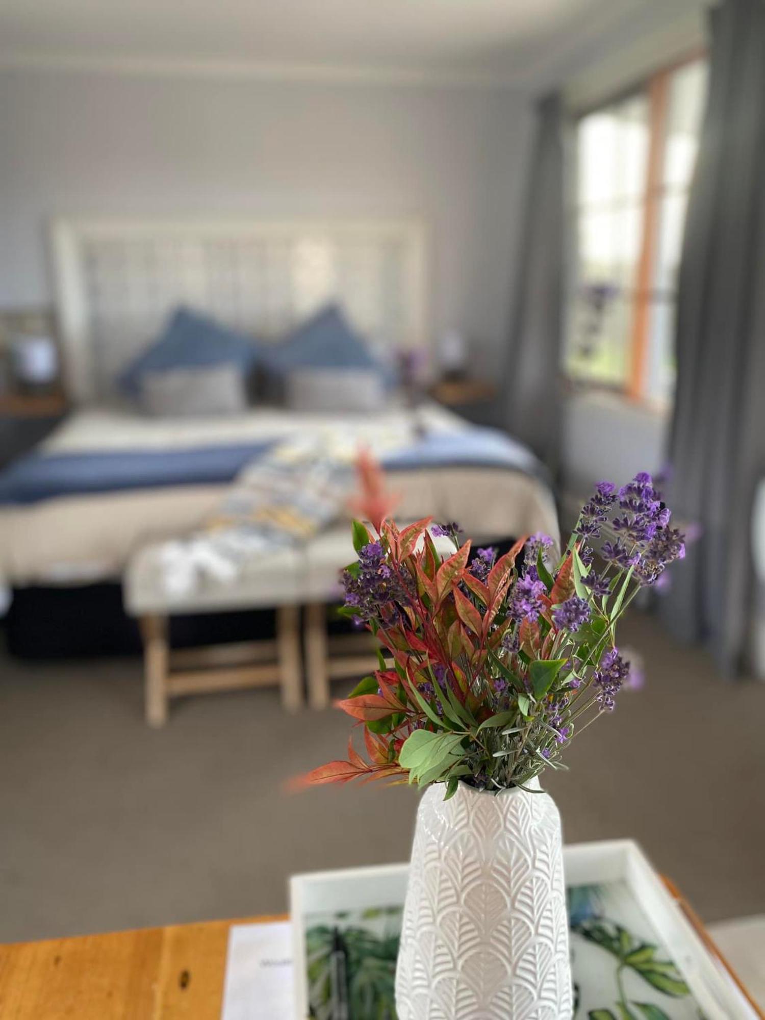 Robin Hoods Well Farm Stay Sassafras ภายนอก รูปภาพ