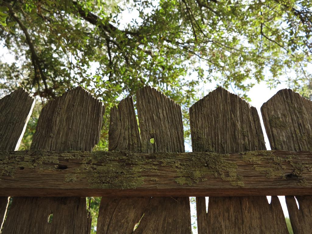 Robin Hoods Well Farm Stay Sassafras ภายนอก รูปภาพ