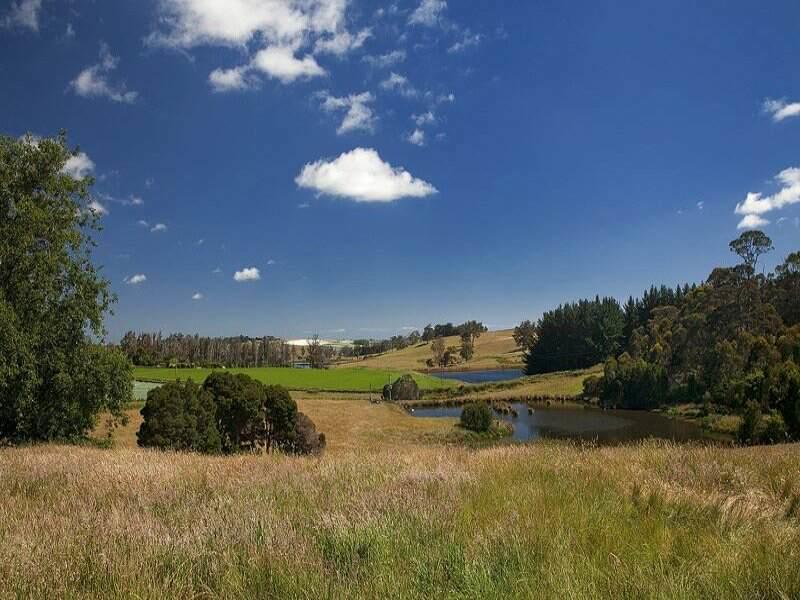 Robin Hoods Well Farm Stay Sassafras ภายนอก รูปภาพ
