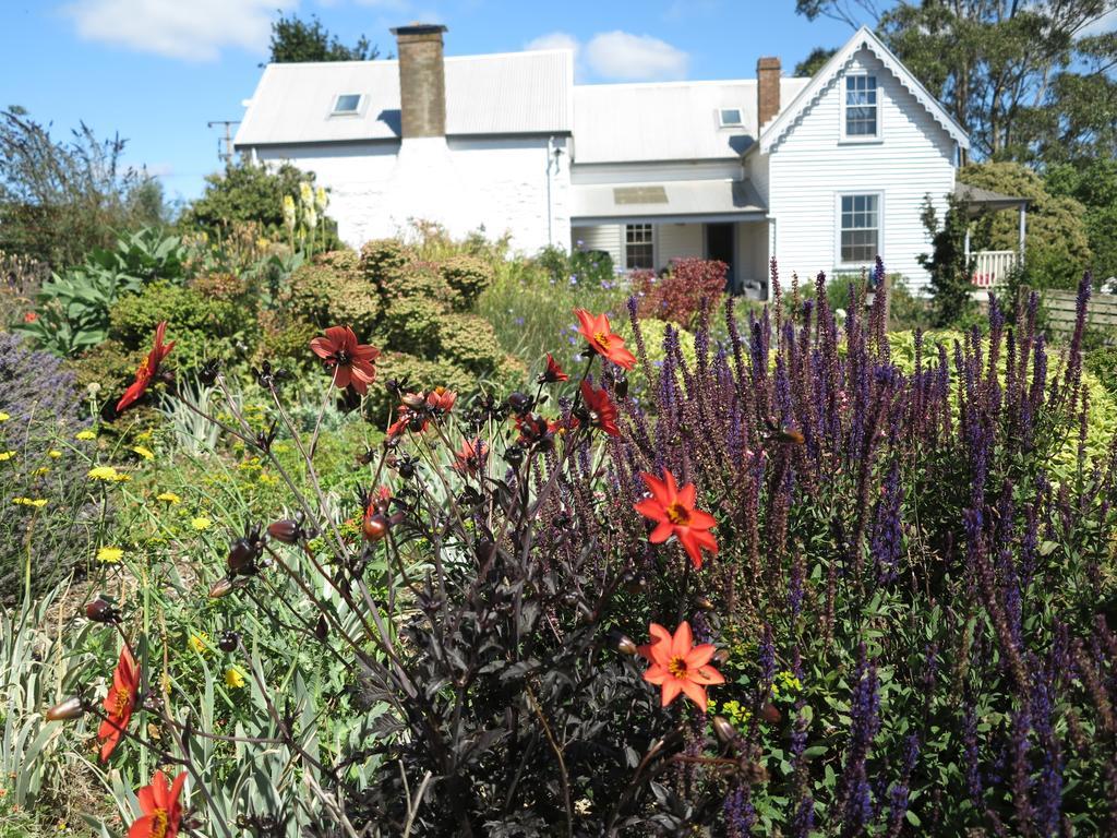 Robin Hoods Well Farm Stay Sassafras ภายนอก รูปภาพ